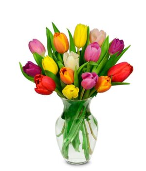 Fifteen Rainbow Tulip Bouquet