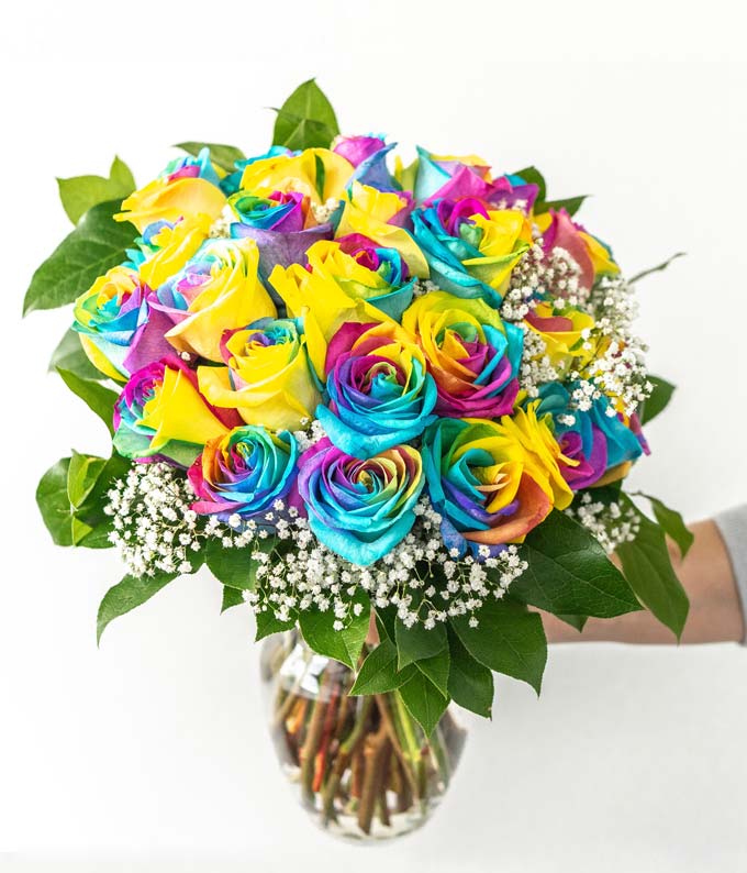 Two Dozen Wild Rainbow Apology Roses - Image 2