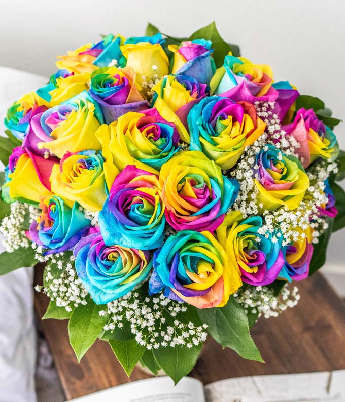 Two Dozen Wild Rainbow Apology Roses - Image 3