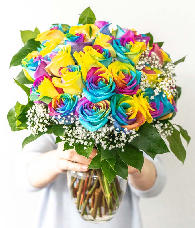 Two Dozen Wild Rainbow Apology Roses - Image 4
