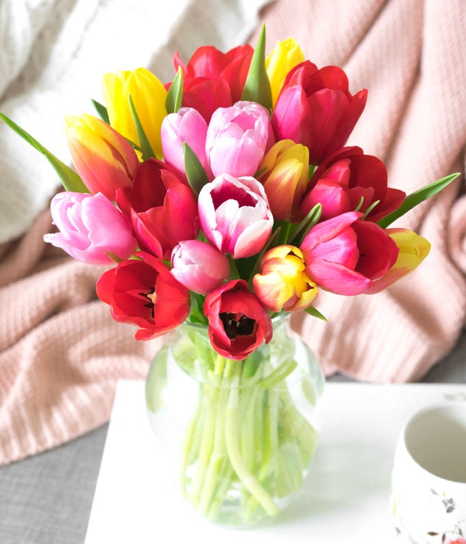 Rainbow Tulip Bouquet - 15 Stems - Image 5