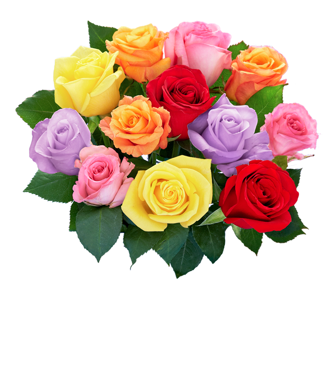 One Dozen Rainbow Roses - Image 2