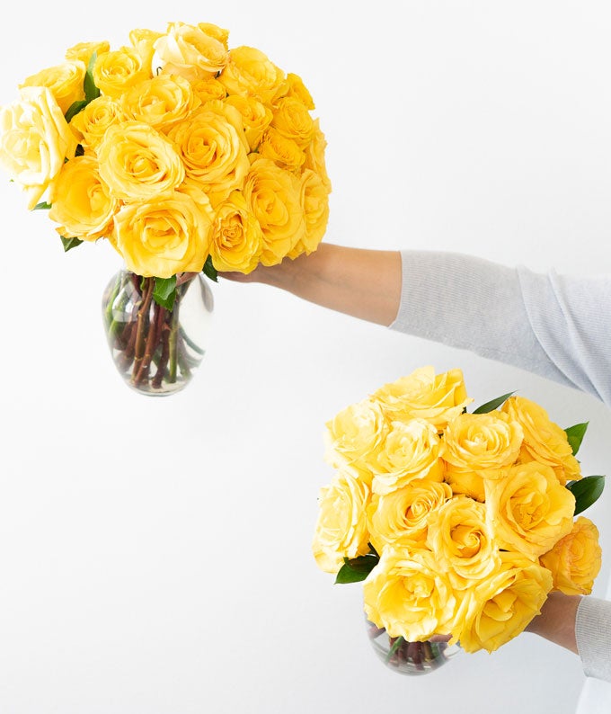 One Dozen Yellow Roses - Image 5