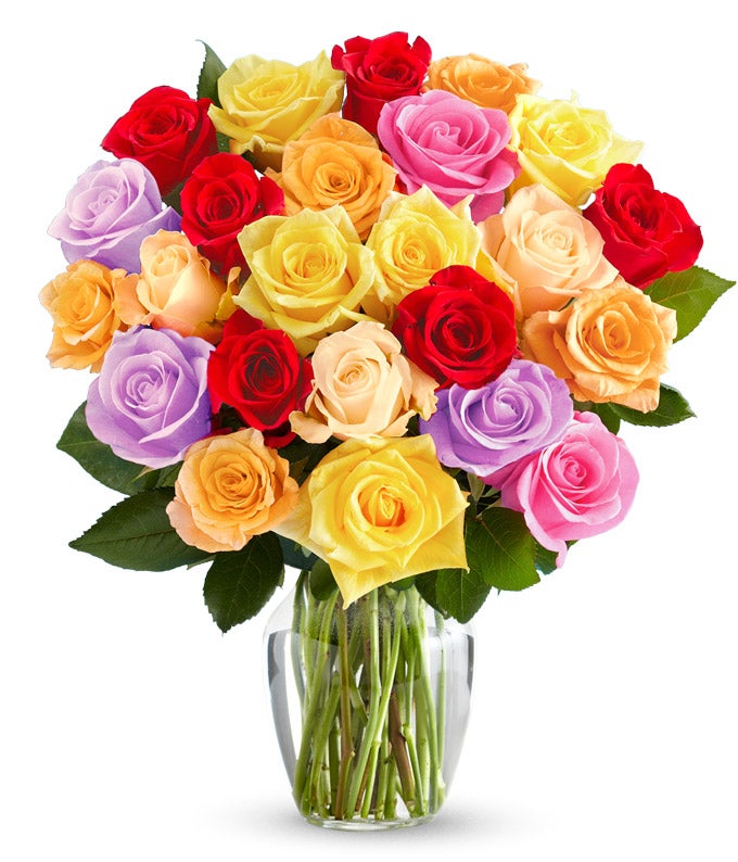 Two Dozen Rainbow Roses