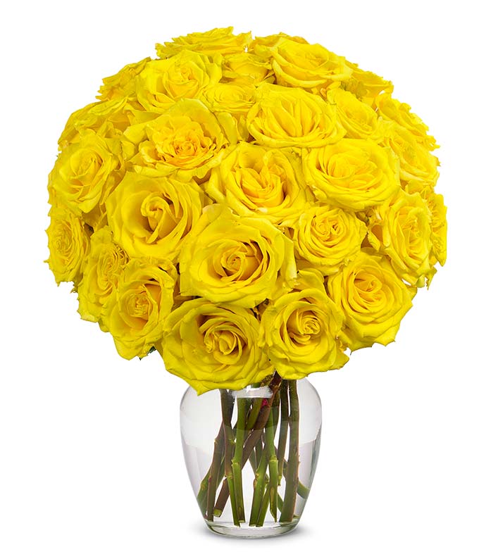 Two Dozen Yellow Roses