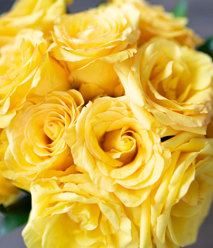 Two Dozen Yellow Roses - Image 4