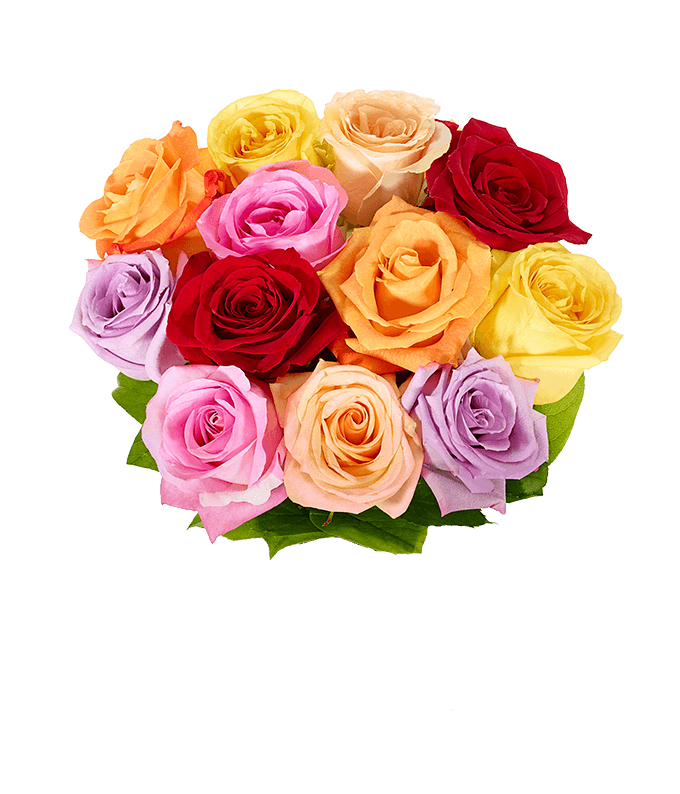 One Dozen Rainbow Roses - Image 2