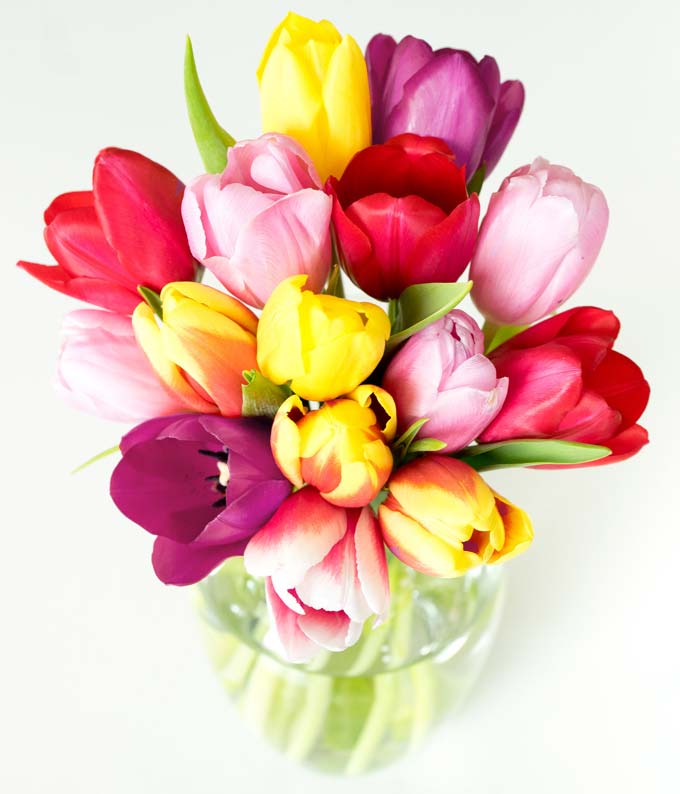 Rainbow Tulip Bouquet - 15 Stems - Image 3