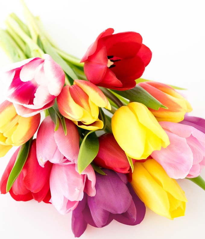 Rainbow Tulip Bouquet - 15 Stems - Image 4
