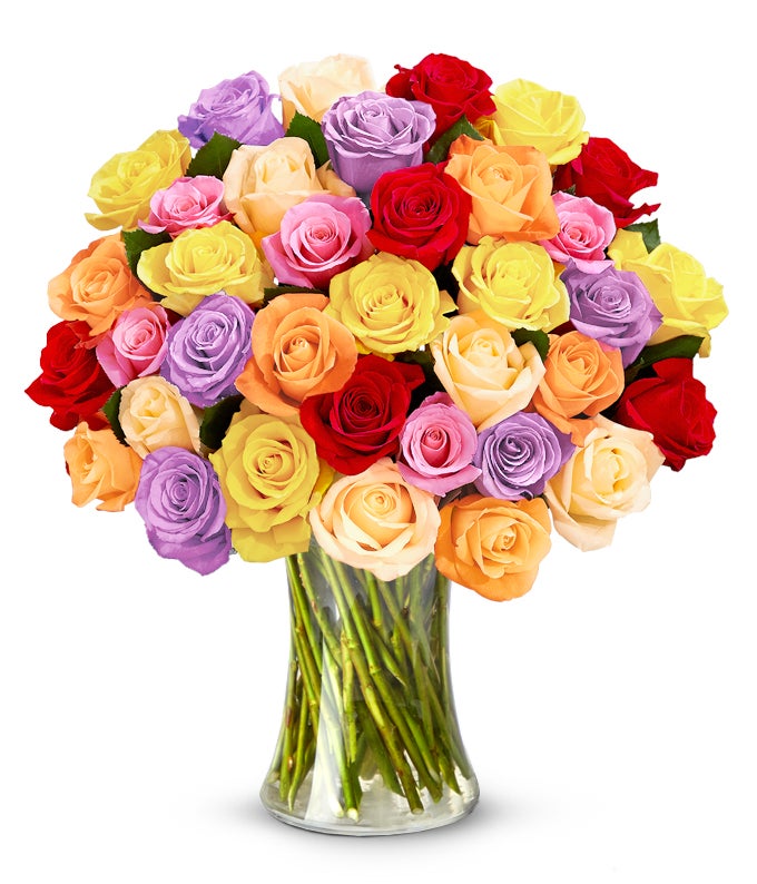 Three Dozen Rainbow Roses