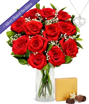 One Dozen Red Roses with Sterling Silver Heart Necklace & Chocolates