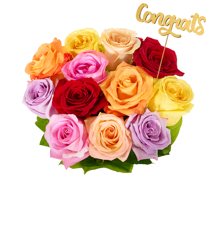 Congrats! One Dozen Rainbow Roses - Image 2