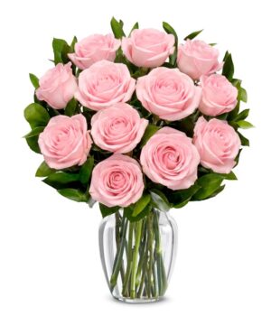 One Dozen Light Pink Breast Cancer Awareness Roses