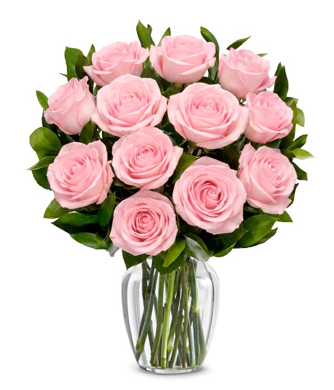 One Dozen Light Pink Breast Cancer Awareness Roses