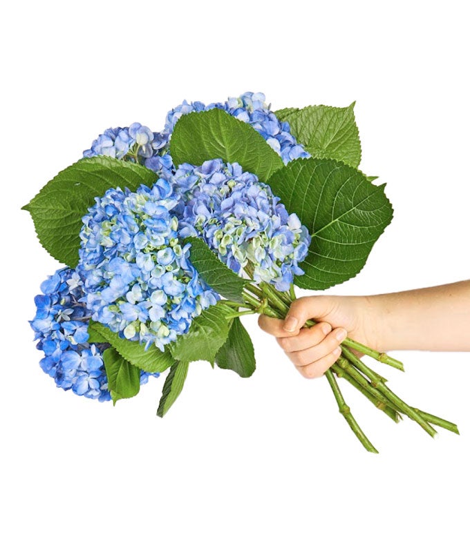 Blue Hydrangea Bouquet - Image 2
