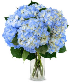 Blue Hydrangea Bouquet