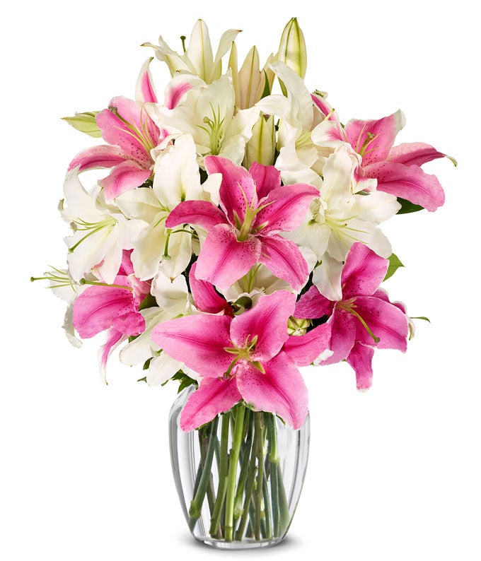Stunning Pink and White Lilies