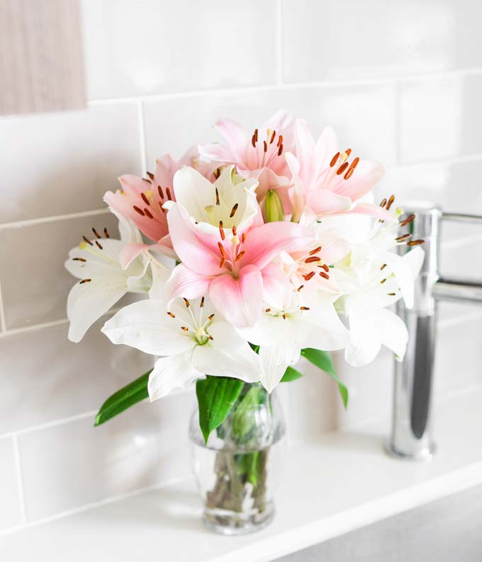 Stunning Pink and White Lilies - Image 3