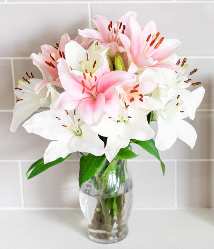 Stunning Pink and White Lilies - Image 4