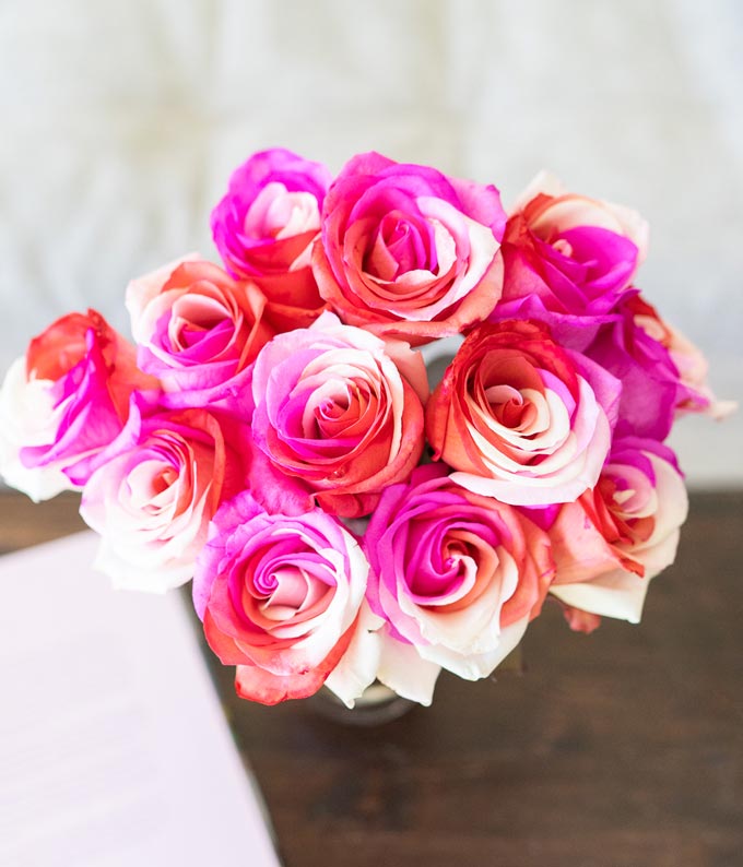 One Dozen Wild Pink Roses - Image 3