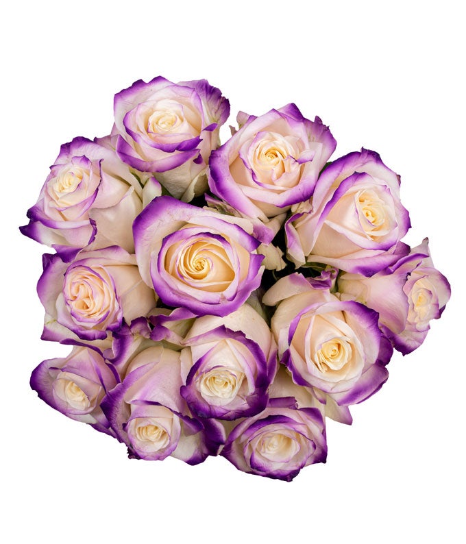 One Dozen Royal Roses - Image 2