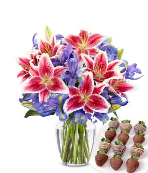 Starlit Iris & Swizzle Berry Bundle