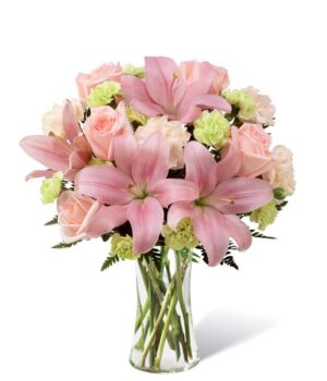Serene Sweetness