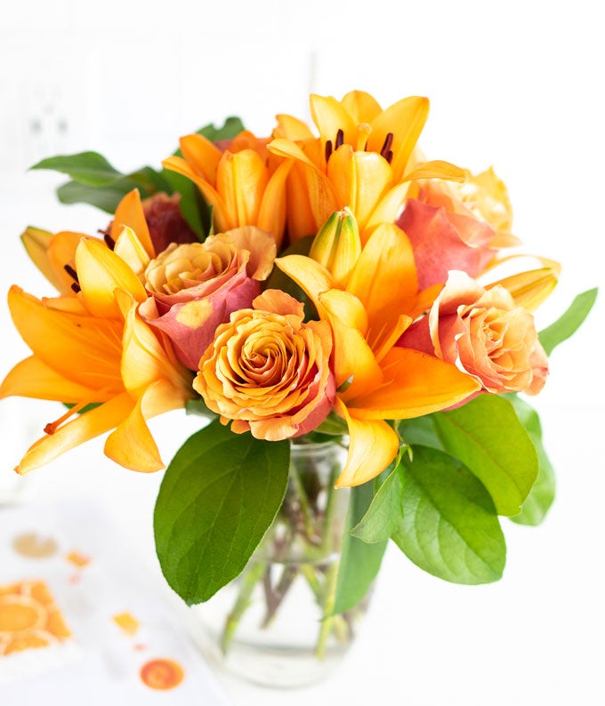 Orange Sorbet - Image 4
