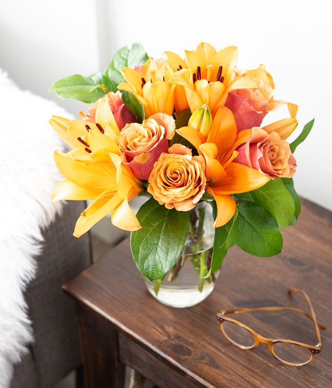 Orange Sorbet - Image 5