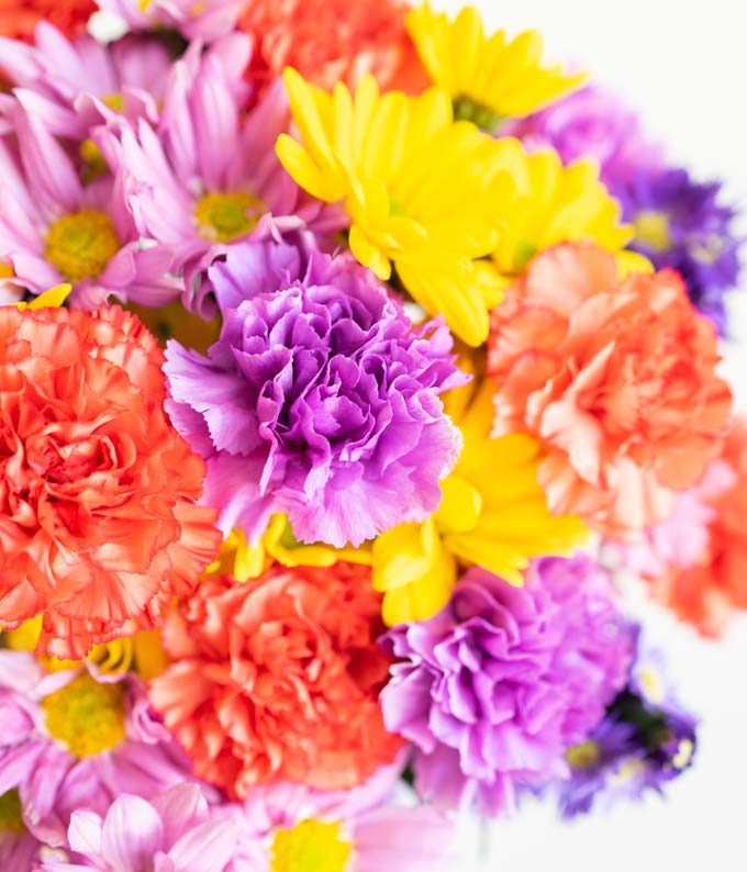 Flower Garden - Image 4