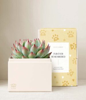 Lula's Garden ® Furever Remembered Bliss Garden