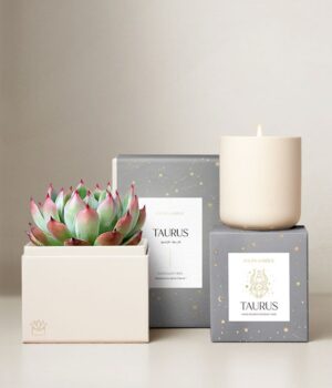 Lula's Garden ® Earth Collection Taurus Succulent Set