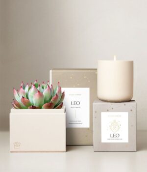 Lula's Garden ® Fire Collection Leo Succulent Set
