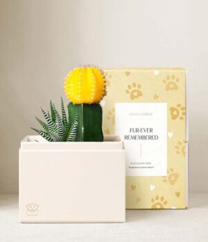 Lula's Garden ® Furever Remembered Ray Garden
