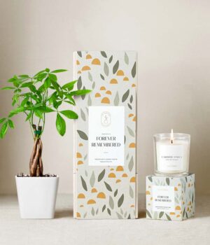 Lula's Garden ® Sympathy Money Tree Gift Set