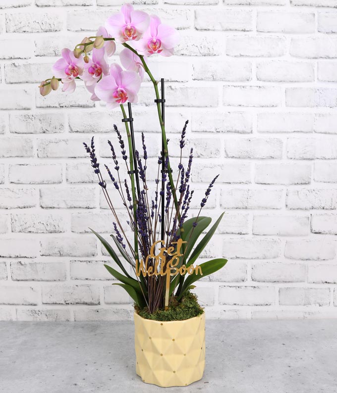 Pink Get Well Soon Orchid with Lavender - Image 2