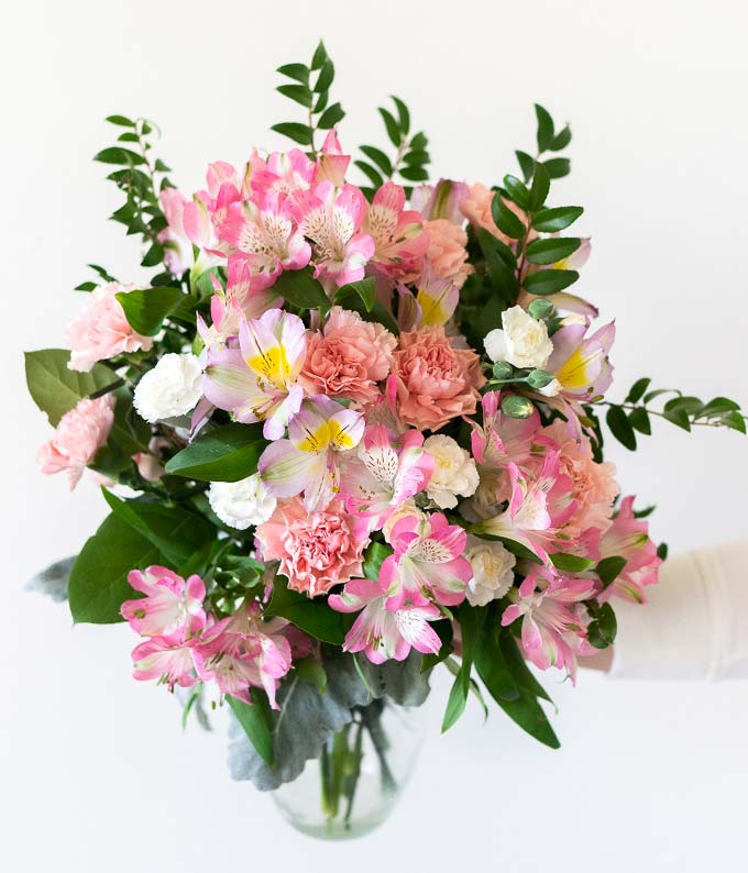 Light Pink Beauty - Image 3