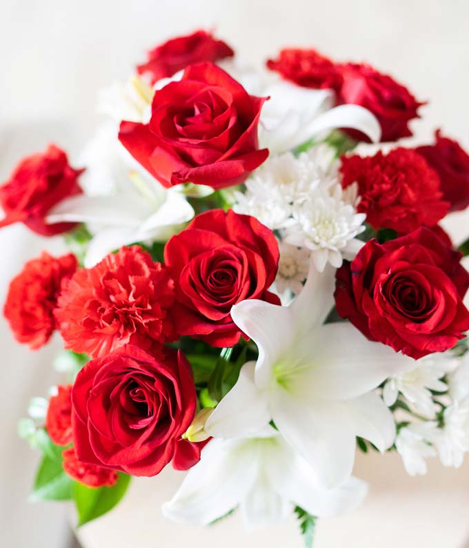 Scarlet Enchantment - Image 3
