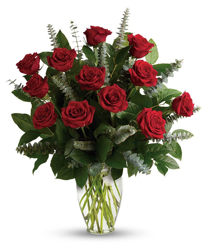 Grand Red Roses