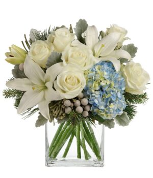 Serene Snowy Blooms